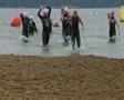 Swimmers Finish Race SD Footage