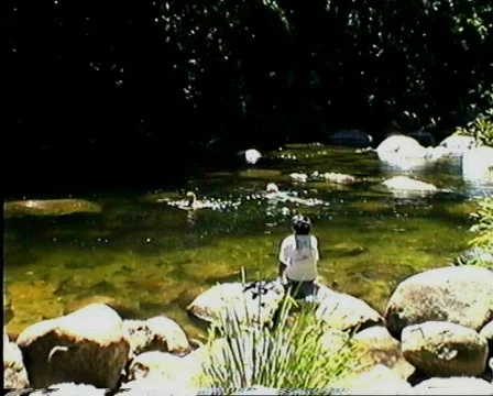 Swimmers Stock Footage 478807