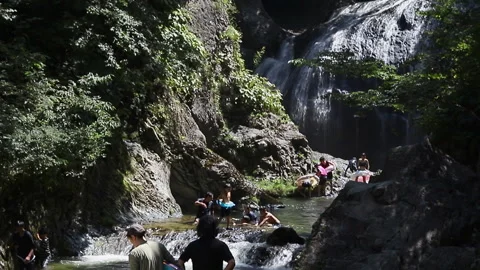 Swimmers in a mountain stream Stock Footage 249443084
