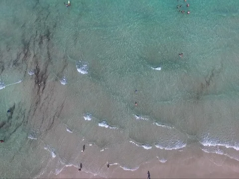 Swimmers in the ocean aerial Stock Footage 78540673