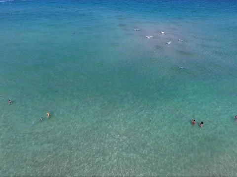 Swimmers in the ocean aerial Stock Footage 78543196