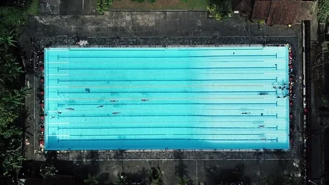 Swimmers in olympic pool Aerial Stock Footage 85188800