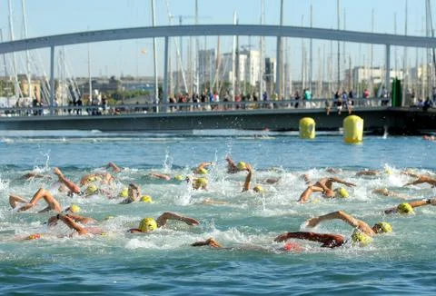 Swimmers on the open waters Stock Photos