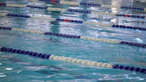 Swimmers  practicing on swimming pool tracks. Stockbeeldmateriaal 194346830
