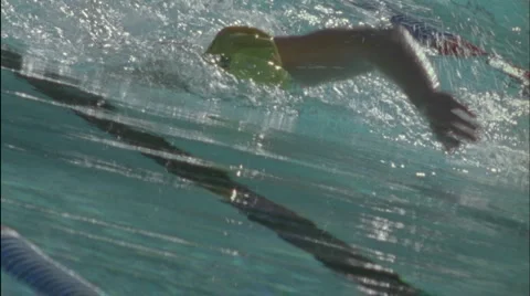 Swimmers race across a pool. Stock Footage 5020593