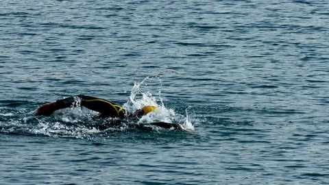 Swimmers racing on the lake Stock Footage 129557909