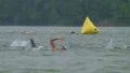 Swimmers Racing In Triathlon 04 HD Footage