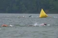 Swimmers Racing In Triathlon 04 Footage