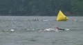 Swimmers Racing In Triathlon 04 HD Footage