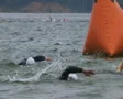 Swimmers Racing In Triathlon 05 SD Footage