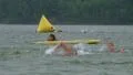 Swimmers Racing In Triathlon HD Footage
