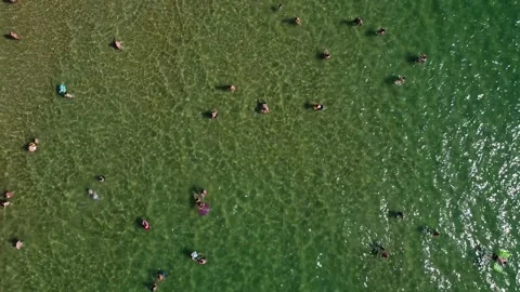 Swimmers in the sea Stock Footage 138441631