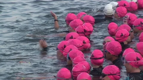Swimmers Start Trithlon Stock Footage 51237064