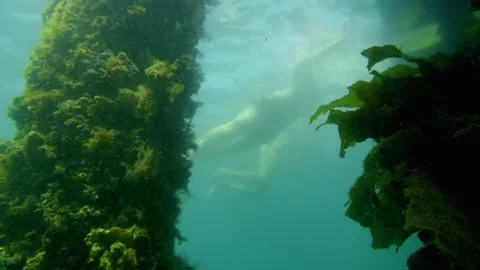 Swimmers surface from underwater pylon Stock Footage 231944614