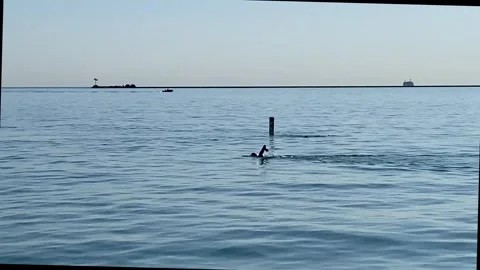 Swimmers swimming in both directions parallel to lakefront trail in Chicago Video stock 280279260