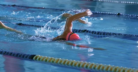 Swimmers training in a swimming pool Stock Footage 115995010
