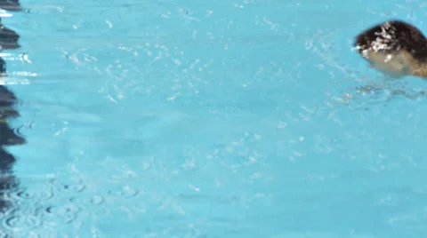 Swimmimg Pool Boy 1 Stock Footage 48294891