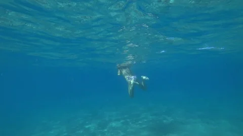 Swimmin in the Atlantic Ocean Stock Footage 102867763