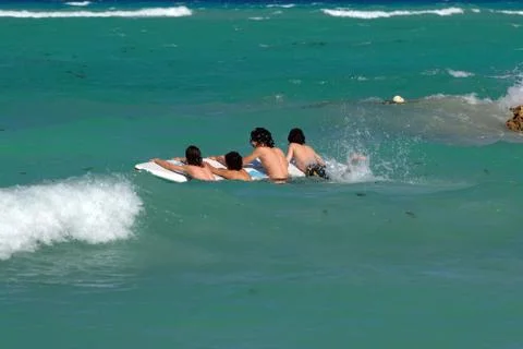 Swimminbg Stock Photos