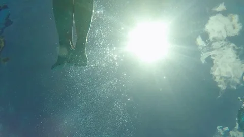 Swimming above camera, from below Stock Footage 77565880
