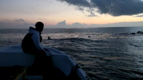 Swimming and Jumping over the Dusk Sea: The Long-beaked Common Dolphin of Stock Footage 332759852