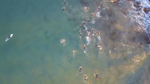 Swimming on the beach Stock Footage 94220284