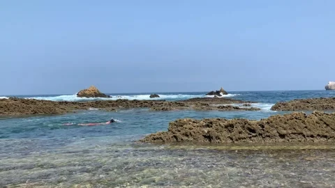 Swimming on the Beach Stock Footage 167842391