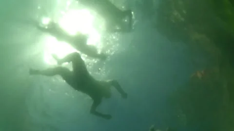 Swimming from below. Stock Footage 21435346