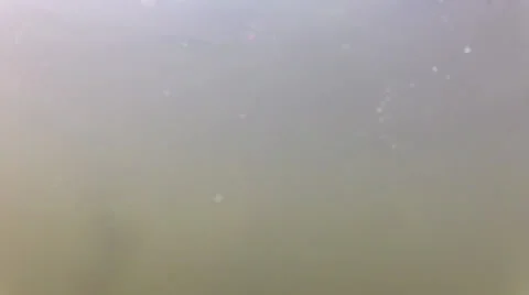 Swimming Beneath Waterfall 動画素材 25853533