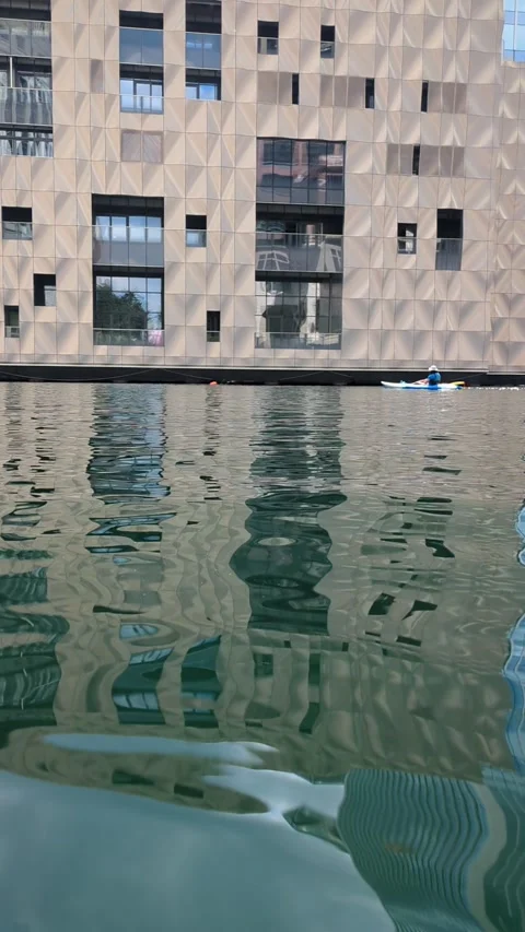 Swimming in Canary Wharfs middle dock - London, UK 17 July 2024 Stock Footage 288113696