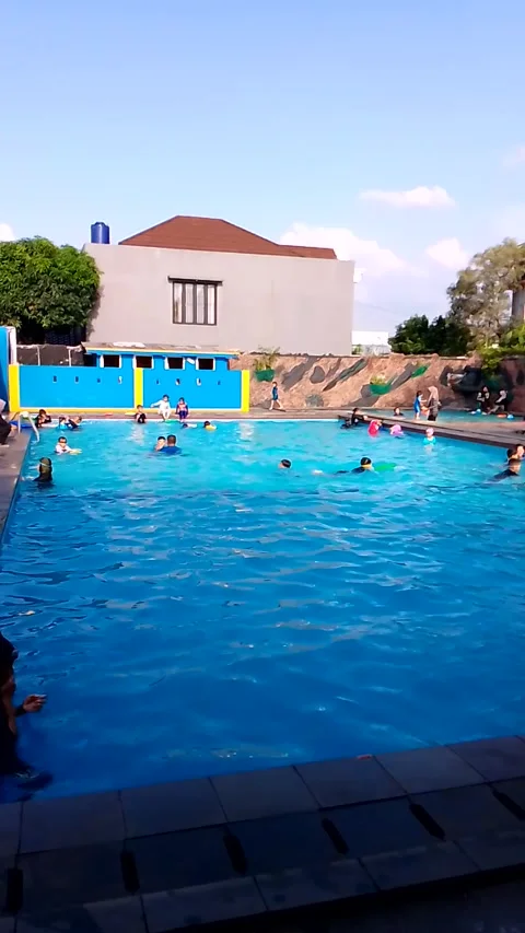 Swimming Class Stock Footage 212664747