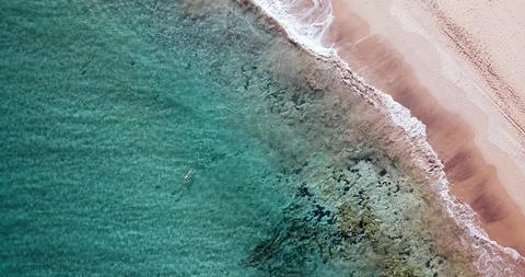 Swimming in clear water Stock Footage 95203686