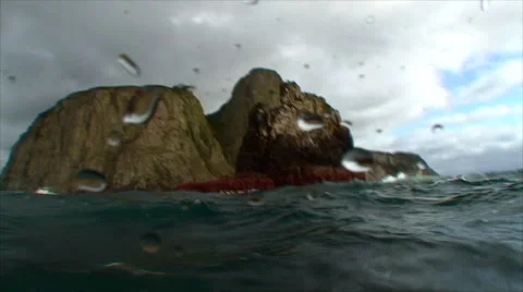 Swimming close to rocks, point of view 動画素材 42890387