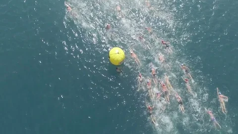 Swimming Competition Stock Footage 78492106