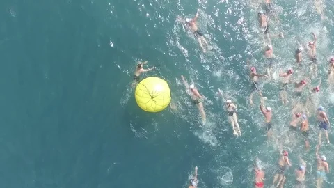 Swimming Competition Stock Footage 78492127