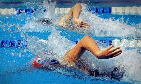 Swimming competition in the pool Stock Photos
