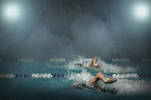 Swimming competition in the pool Stock Photos