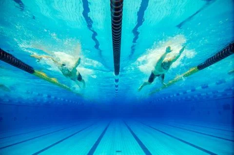 Swimming competition in a pool Stock Photos