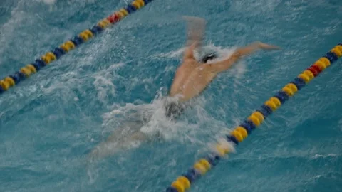 Swimming competitions Vidéo 231293248