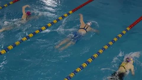 Swimming competitions Stock Footage 238651030