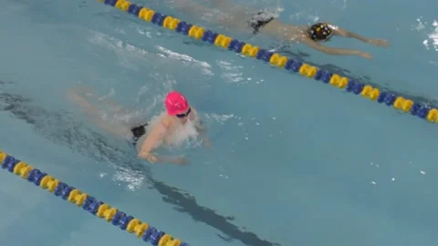 Swimming competitions Stock Footage 238667829