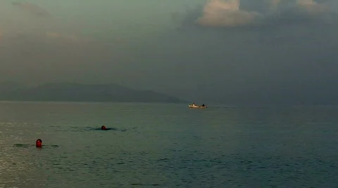 Swimming at dawn Stock Footage 86145