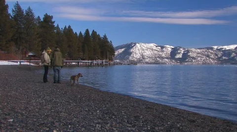 Swimming Dog Stock Footage 320792