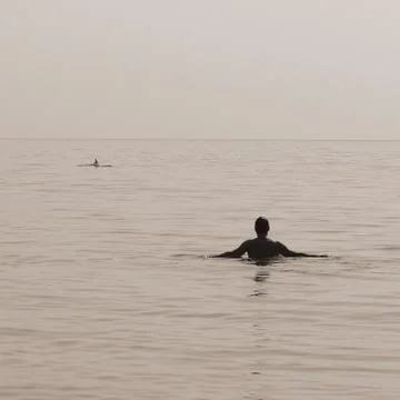 Swimming with dolphins Foto stock