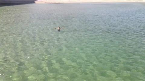 Swimming empty beach after covid19 Stock Footage 143158914