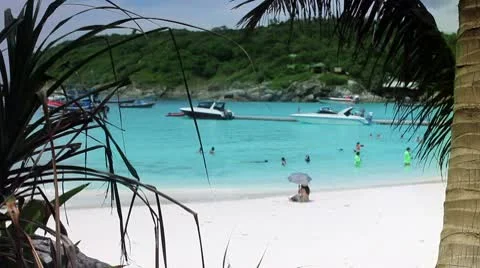 Swimming in an exotic beach Video stock 10564384