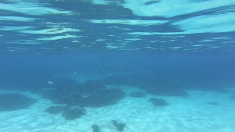 Swimming with fish underwater in Bodrum Stock Footage 172012671