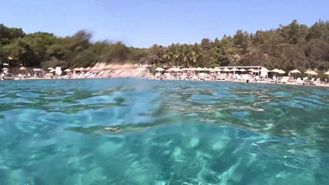 Swimming with fish underwater Stock Footage 172012836