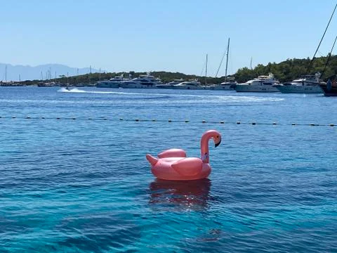 Swimming float in the sea Foto stock
