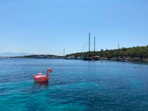 Swimming float in the sea Фото